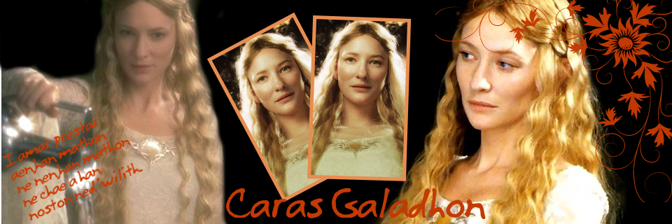 ~Caras-Galadhon az Arany Erd~